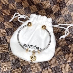 Beautiful pandora bangle 2-tone with separators and a charm
